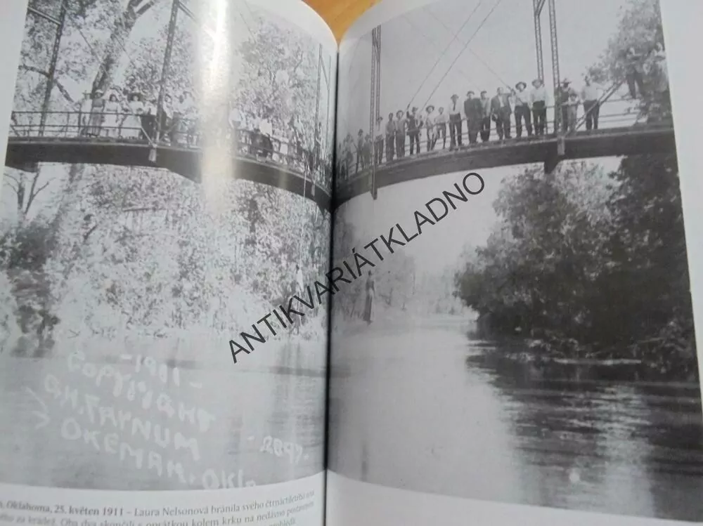 LYNČOVÁNÍ, ZPRÁVA O KRUTÉ MINULOSTI USA,MICHEL