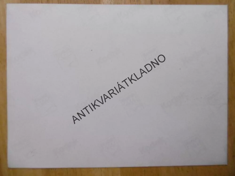 STARÁ FOTOGRAFIE 1 KS, NA PAPÍRU KODAK, KVĚTINA, ALPY, ASI RAKOUSKO 