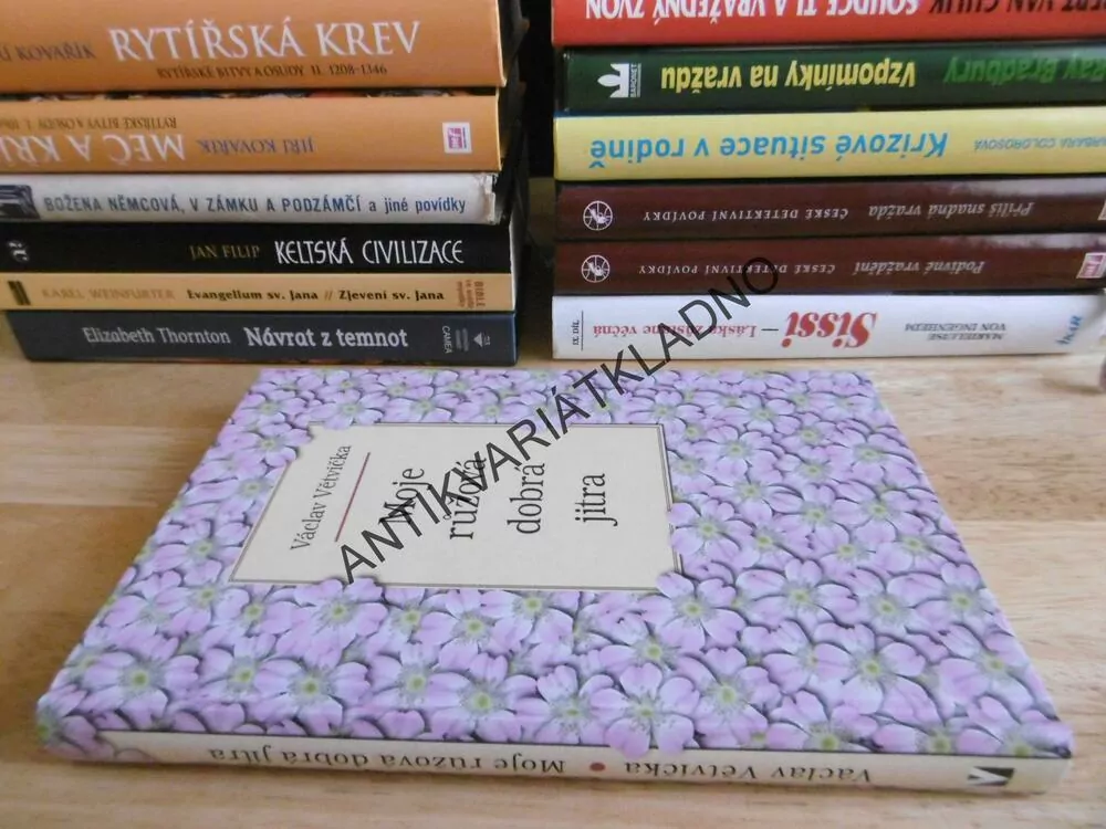 MOJE RŮŽOVÁ JITRA, VÁCLAV VĚTVIČKA, **an