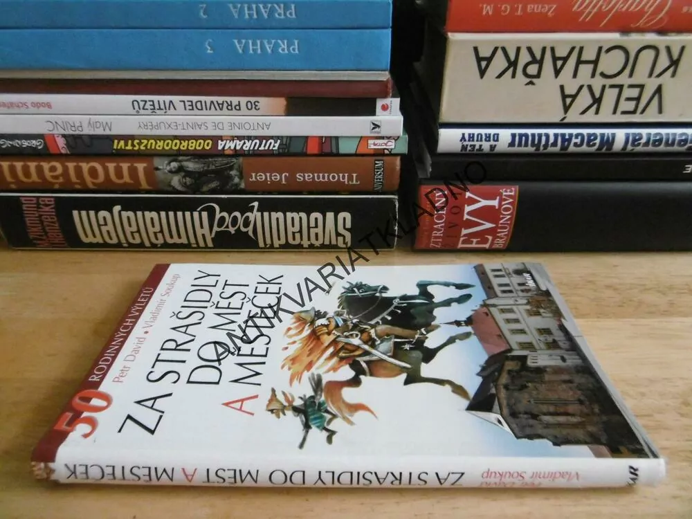 ZA STRAŠIDLY DO MĚST A MĚSTEČEK, P. DAVID, VLADIMÍR SOUKUP, **an