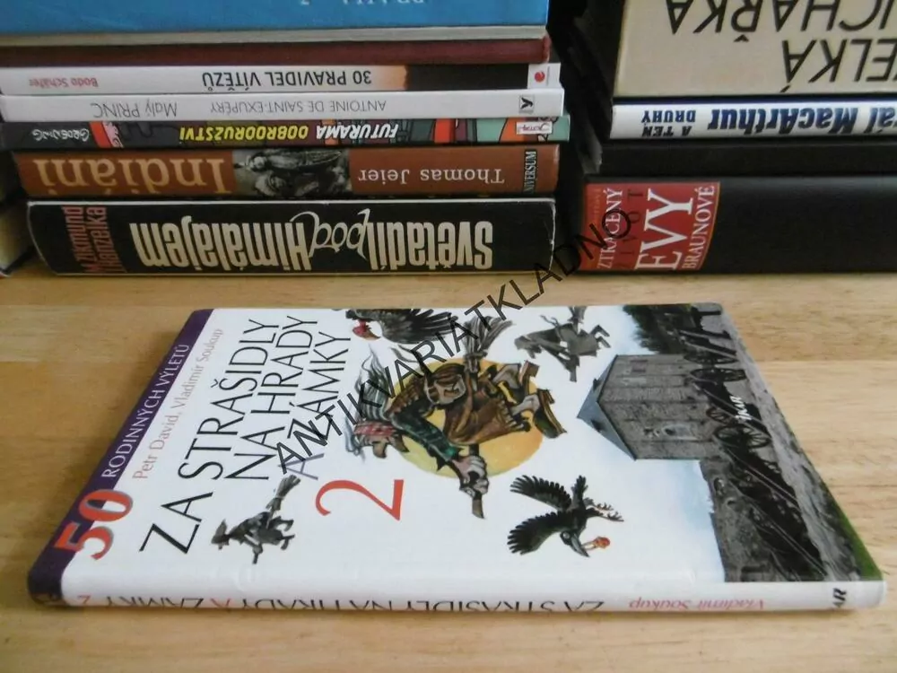 ZA STRAŠIDLY NA HRADY A ZÁMKY 2., P. DAVID, VLADIMÍR SOUKUP, **an