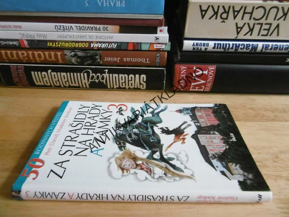 ZA STRAŠIDLY NA HRADY A ZÁMKY 3., P. DAVID, VLADIMÍR SOUKUP, **an