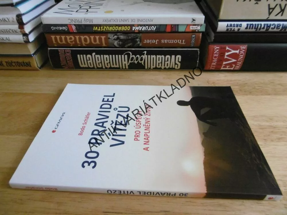 30 PRAVIDEL VÍTĚZŮ PRO ÚSPĚCH A NAPLNĚNÝ ŽIVOT, BODO SCHÄFER