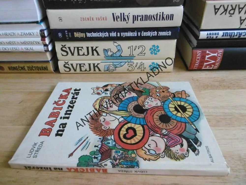 BABIČKA NA INZERÁT, LUDVÍK STŘEDA, 1990, **an