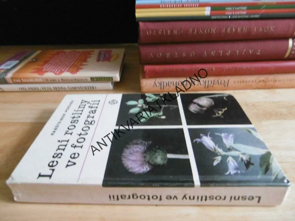 LESNÍ ROSTLINY VE FOTOGRAFII, PORUBA, **an