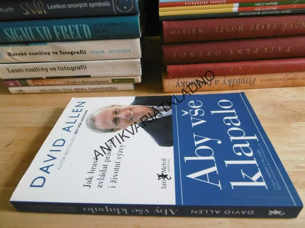 ABY VŠE KLAPALO, DAVID ALLEN, 