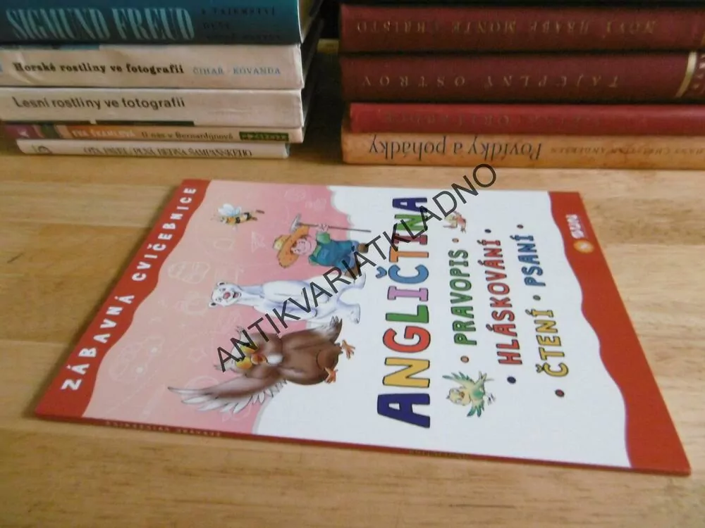 ANGLIČTINA, PRAVOPIS, HLÁSKOVÁNÍ, ČTENÍ, PSANÍ, ZÁBAVNÁ CVIČEBNICE