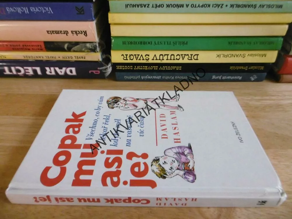 COPAK MU ASI JE? DAVID HASLAM, **an