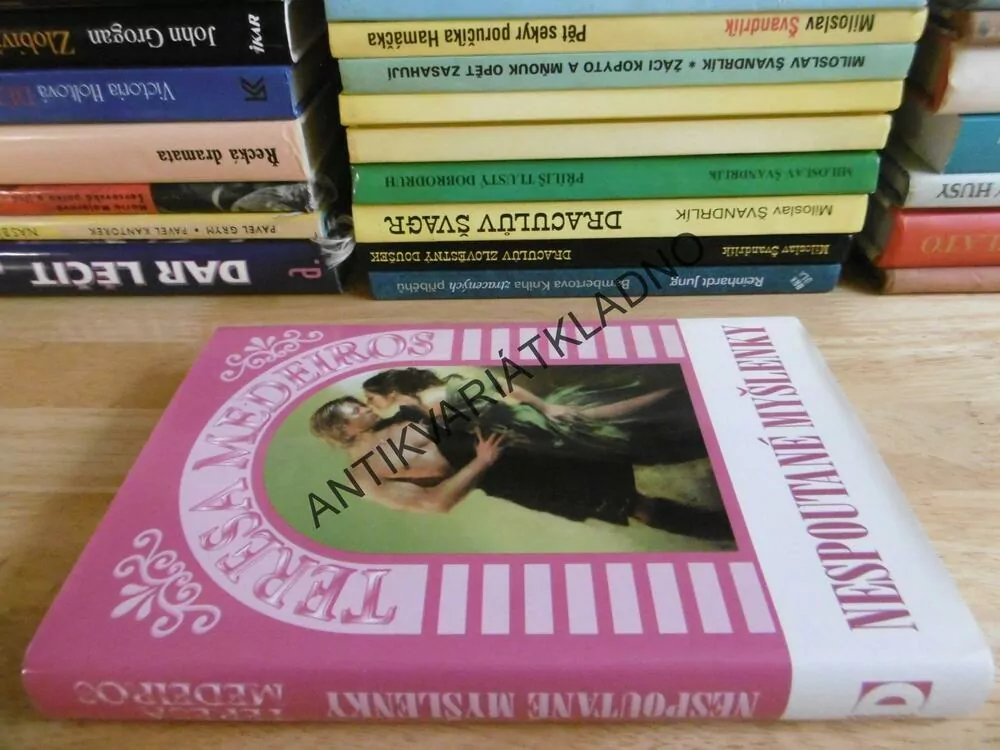 NESPOUTANÉ MYŠLENKY, TERESA MEDEIROS, **an
