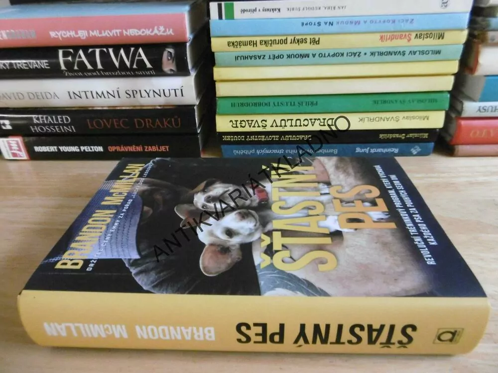 ŠŤASTNÝ PES, BRANDON MCMILLAN,VÝCHOVA, PES, **an