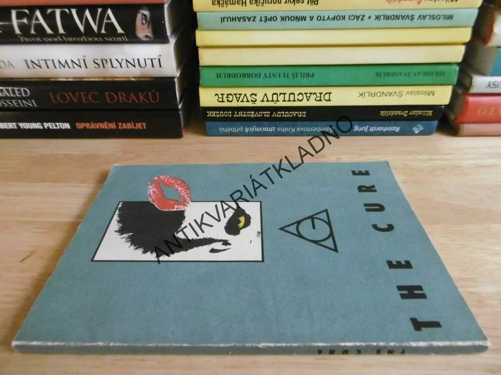 THE CURE, HUDEBNÍ SKUPINA, TEXTY PÍSNÍ, **an