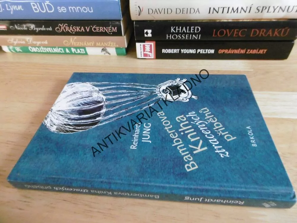 BAMBERTOVA KNIHA ZTRACENÝCH PŘÍBĚHŮ, REIHARDT JUNG, **an