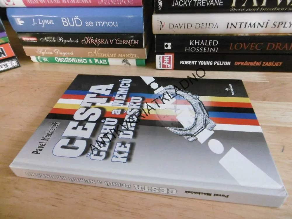 CESTA ČECHŮ A NĚMCŮ KE DNEŠKU, PAVEL MACHÁČEK, **an