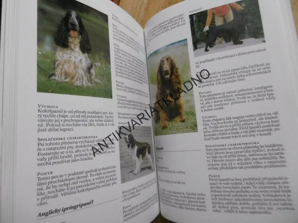 ENCYKLOPEDIE PSŮ, ESTHER VERHOEF, **an