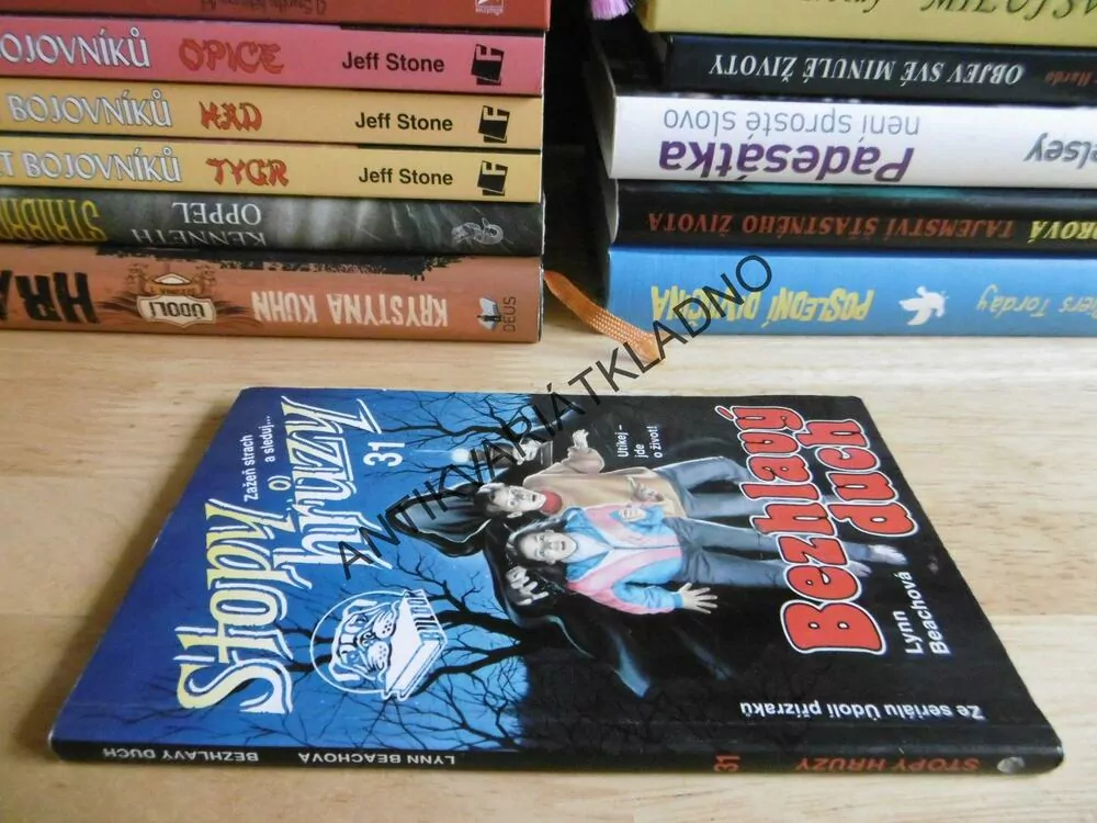 STOPY HRŮZY 31 - BEZHLAVÝ DUCH, LYNN BEACHOVÁ