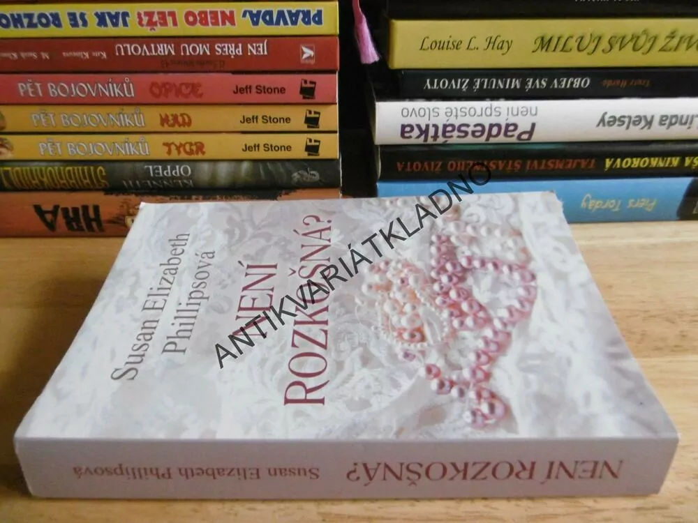 NENÍ ROZKOŠNÁ?, SUSAN ELIZABETH PHILLIPSOVÁ, **an