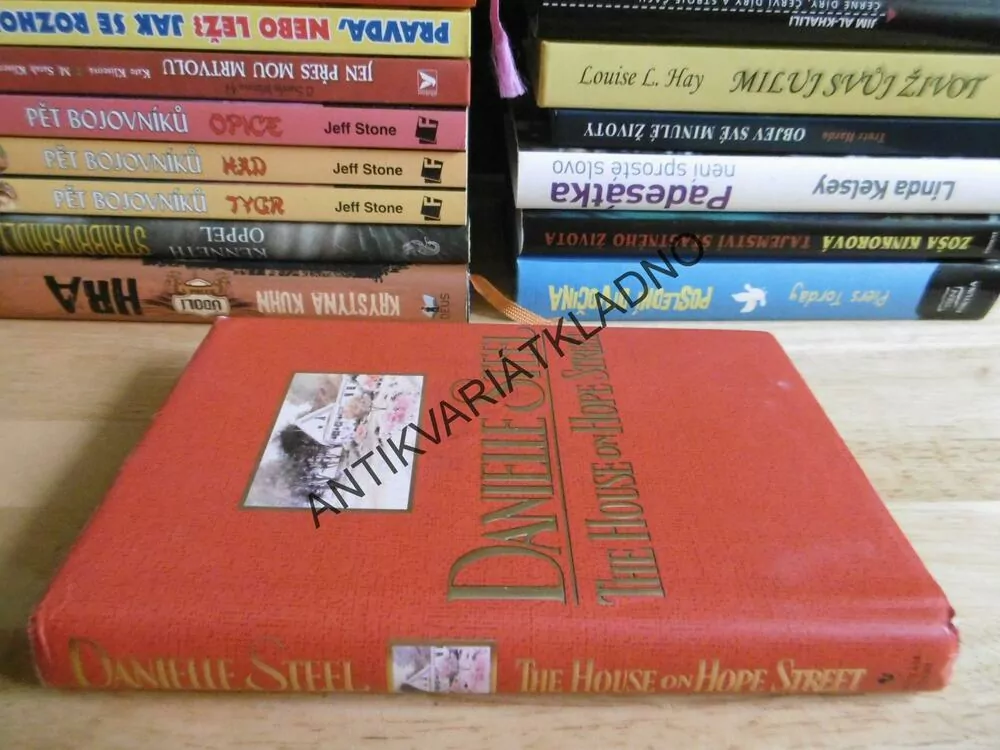 THE HOUSE ON HOPE STREET, DANIELLE STEEL, ANGLICKY, **an