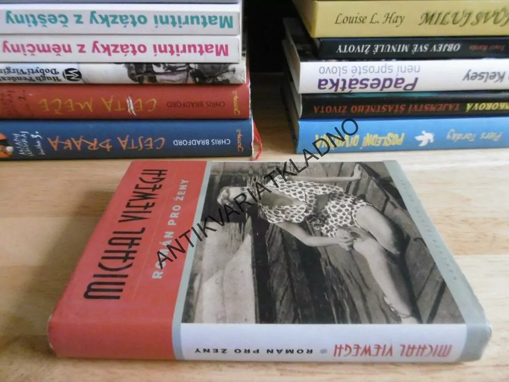 ROMÁN PRO ŽENY, MICHAL VIEWEGH, **an