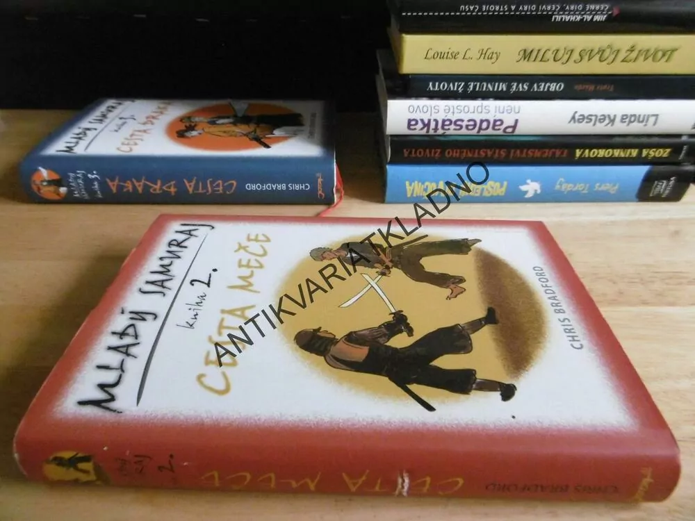 MLADÝ SAMURAJ, 2., CESTA MEČE, CHRIS BRADFORD, **an
