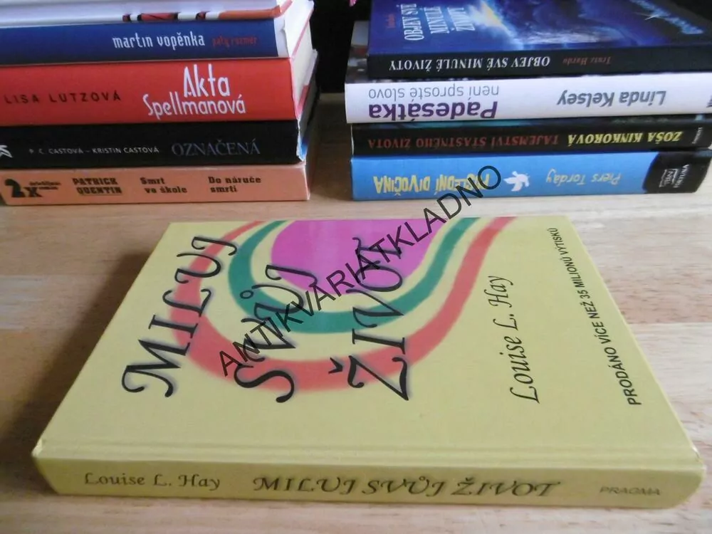 MILUJ SVŮJ ŽIVOT, MEDITACE, LOUISE L.HAY, **an
