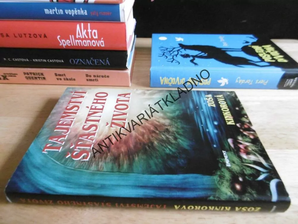 TAJEMSTVÍ ŠŤASTNÉHO ŽIVOTA, ZOŠA KINKOROVÁ,
