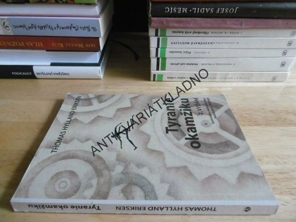 TYRANIE OKAMŽIKU, THOMAS HYLLAND ERIKSEN, 2001