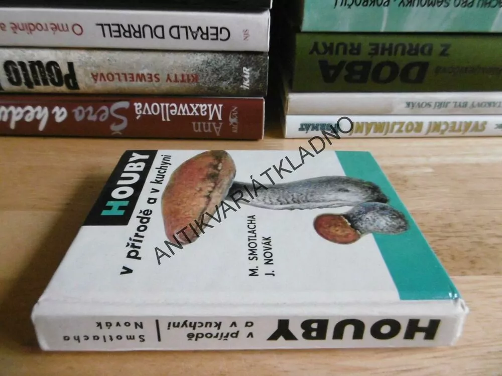 HOUBY V PŘÍRODĚ A V KUCHYNI, SMOTLACHA, J. NOVÁK, MYKOLOGIE, **an