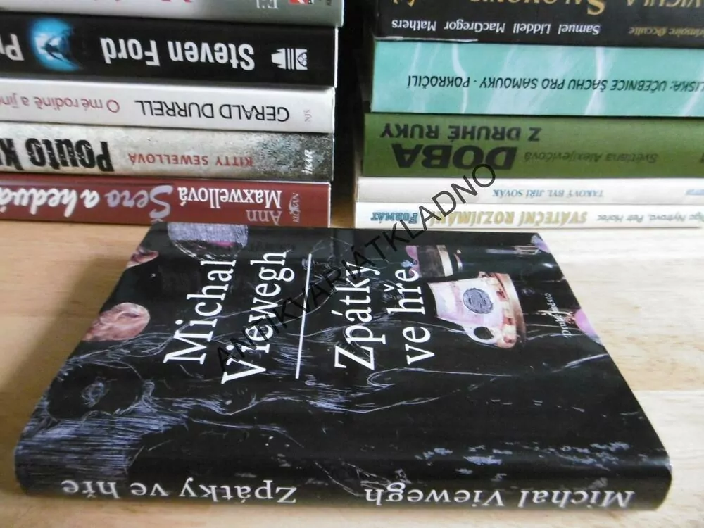 ZPÁTKY VE HŘE, MICHAL VIEWEGH, **an