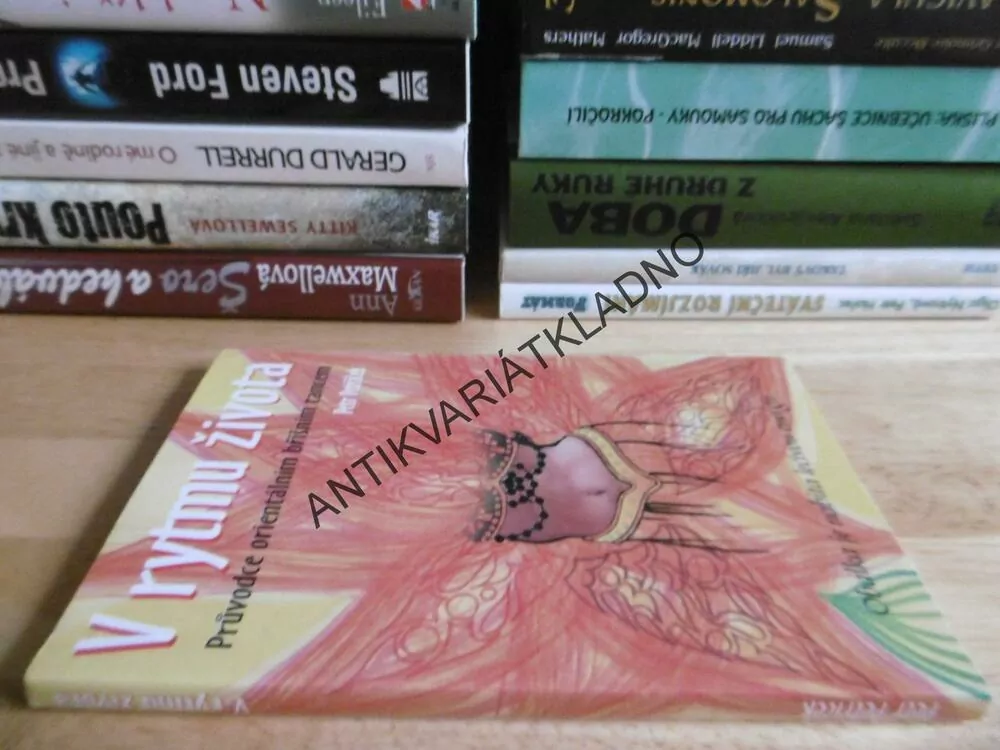 V RYTMU ŽIVOTA, PETR PETŘÍČEK, **an