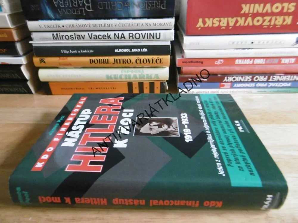KDO FINANCOVAL NÁSTUP HITLERA K MOCI, 1919-1933, JAMES POOL,HITLER, **an
