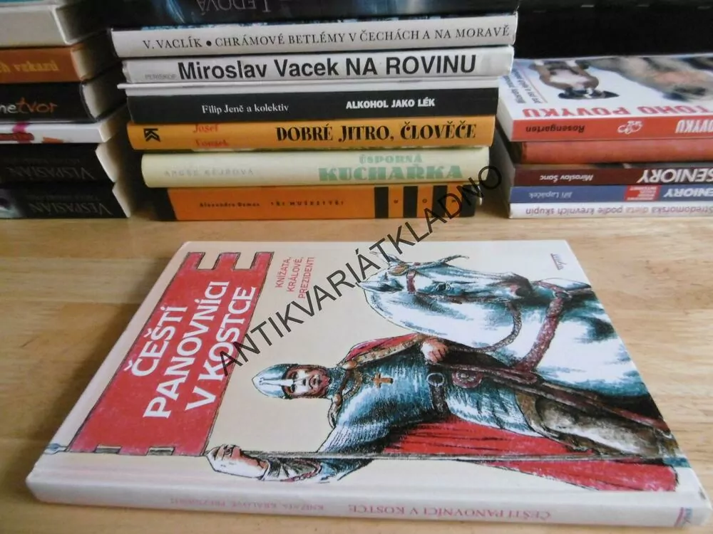 ČEŠTÍ PANOVNÍCI V KOSTCE, KNÍŽATA, KRÁLOVÉ, PREZIDENTI, **an