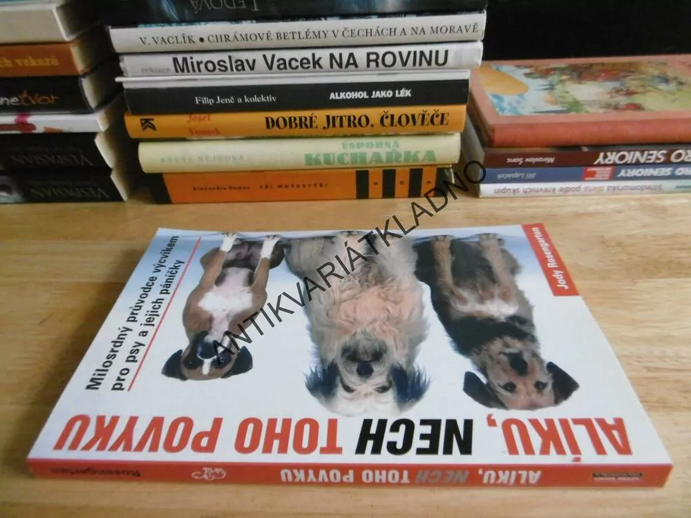 ALÍKU, NECH TOHO POVYKU, MILOSRDNÝ PRŮVODCE VÝCVIKEM PRO PSY A JEJICH PÁNÍČKY, JODY ROSENGARTEN, **an