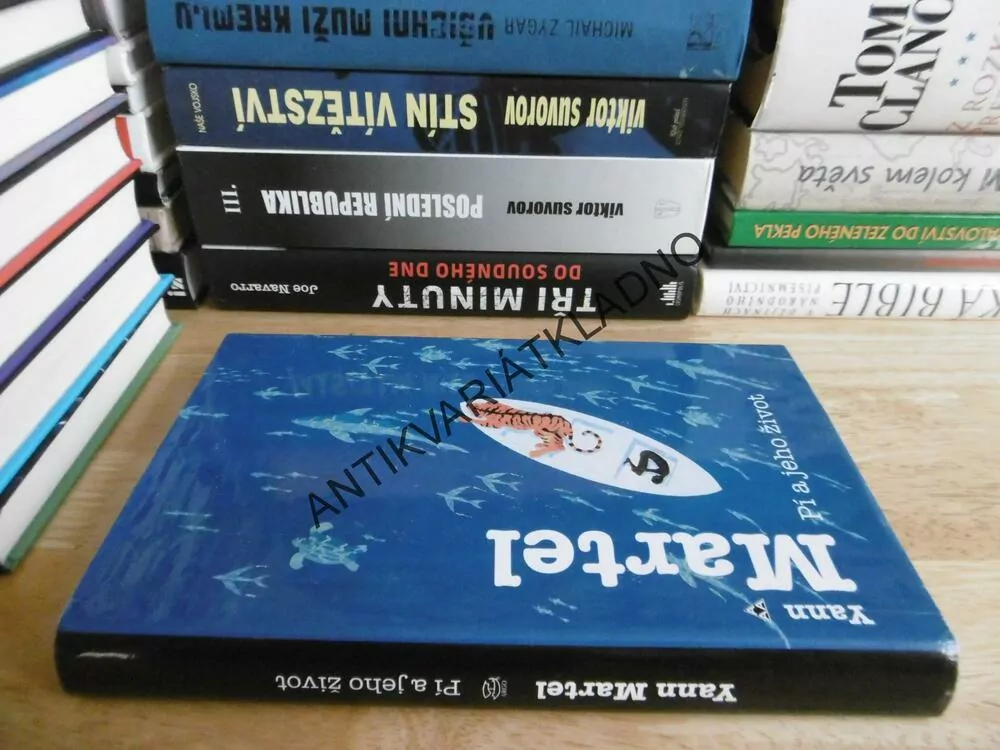 PÍ A JEHO ŽIVOT, YANN MARTEL, **an