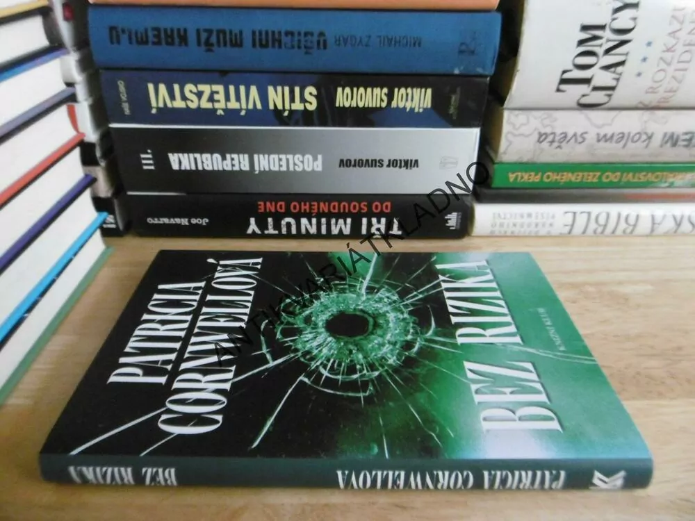 BEZ RIZIKA, PATRICIA CORNWELLOVÁ, **an