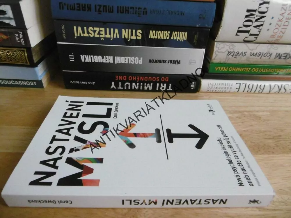 NASTAVENÍ MYSLI, CAROL DWECKOVÁ, PSYCHOLOGIE ÚSPĚCHU