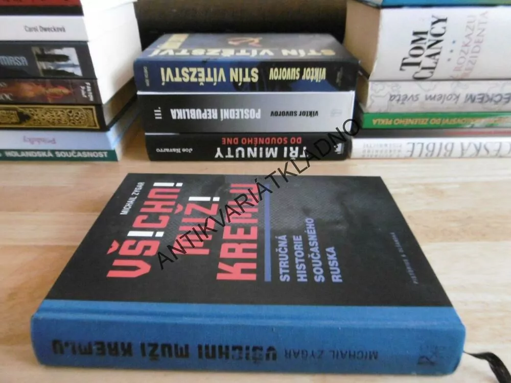 VŠICHNI MUŽI KREMLU, MICHAIL ZYGAR, **an