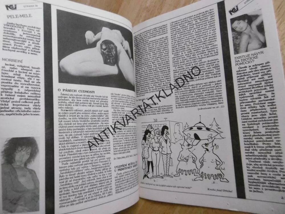 NEI SAMARITAN, 1990, NEI REPORT MAGAZIN