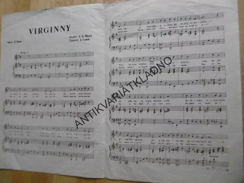 AMERICAN SONGS, VIRGINNY, TEXTY, 1 ks, ZPĚVNÍK