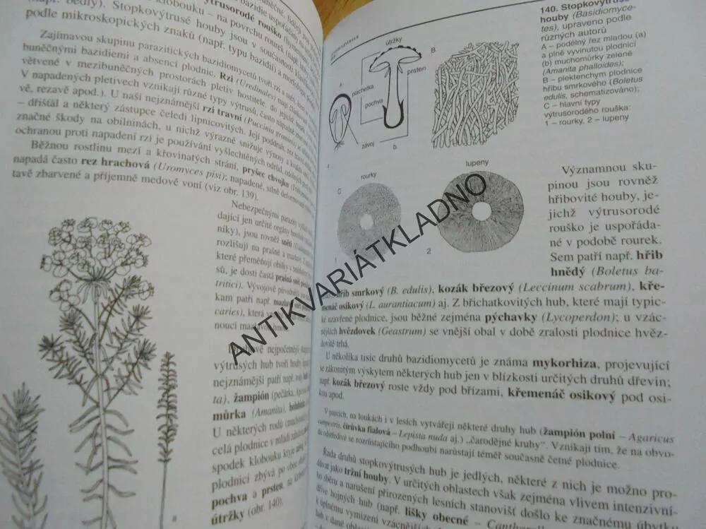 BIOLOGIE ROSTLIN, PRO GYMNÁZIA, KINCL