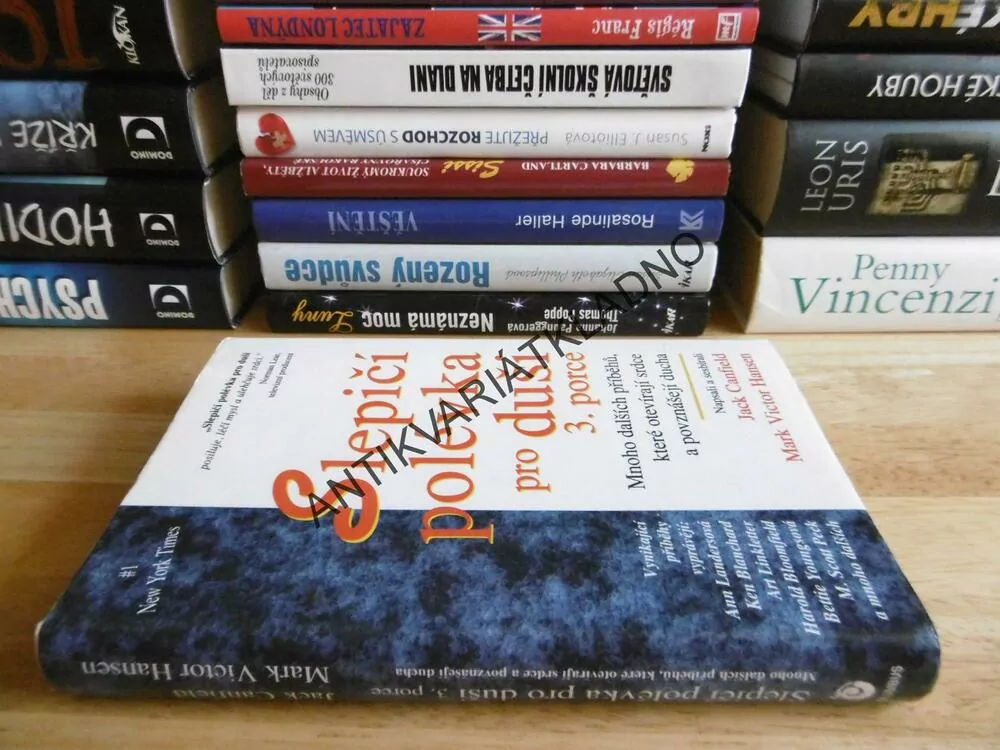 KLASICKÁ SLEPIČÍ POLÉVKA PRO DUŠI, 3. PORCE, **an