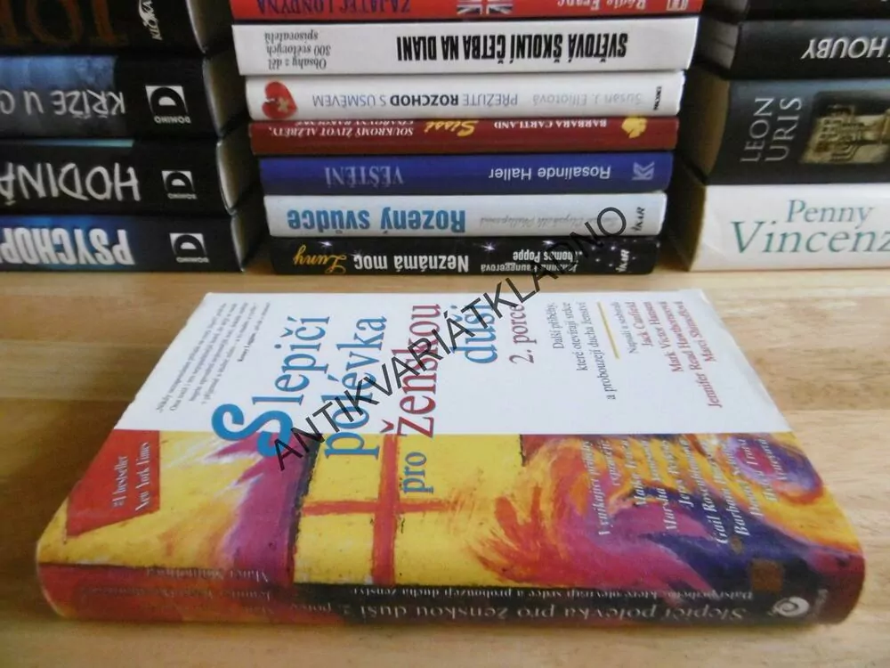 KLASICKÁ SLEPIČÍ POLÉVKA PRO ŽENSKOU DUŠI, 2. PORCE, **an