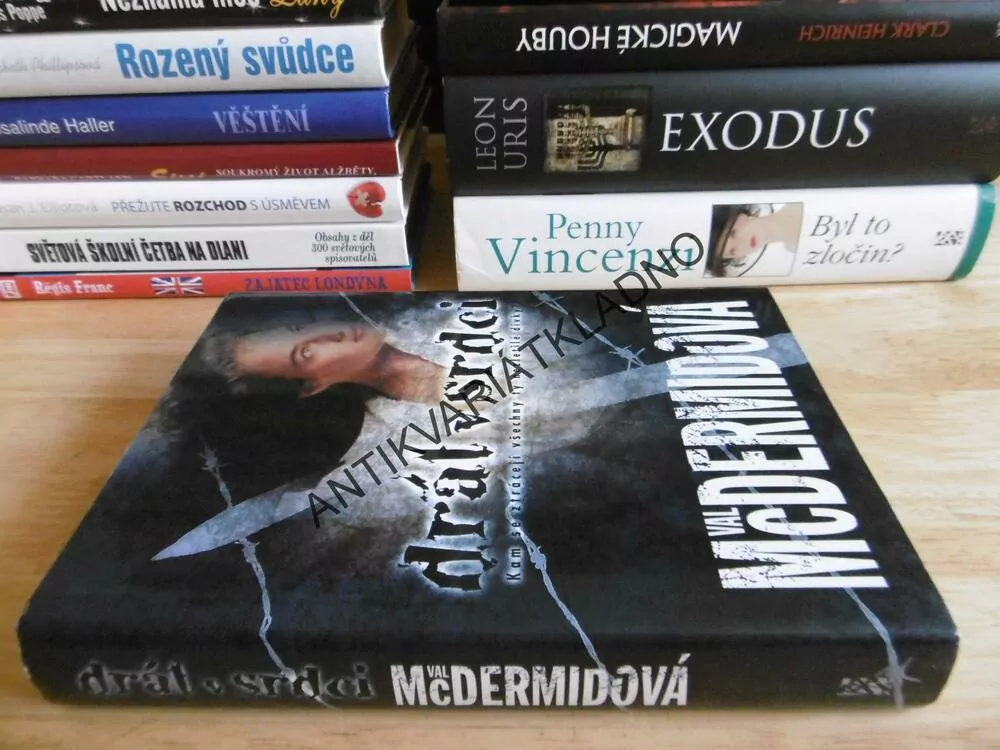 DRÁT V SRDCI, VAL MCDERMIDOVÁ, **an