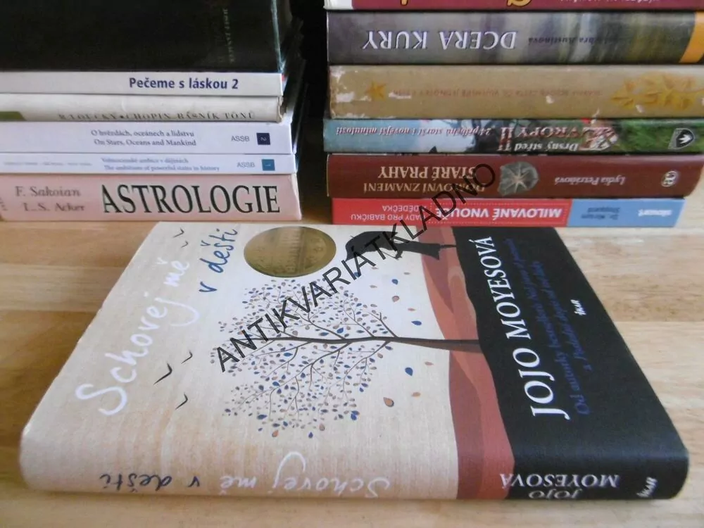 SCHOVEJ MĚ V DEŠTI, JOJO MOYESOVÁ, EDICE SVĚTOVÝ BESTSELLER, **an