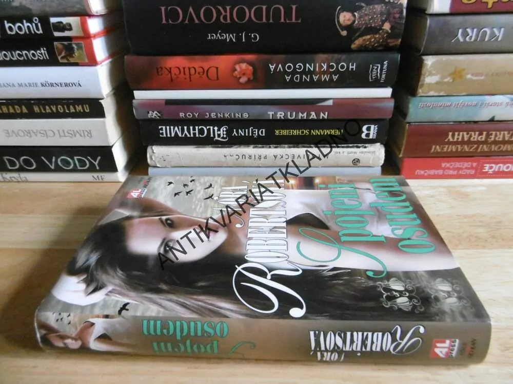 SPOJENI OSUDEM, NORA ROBERTSOVÁ, **an