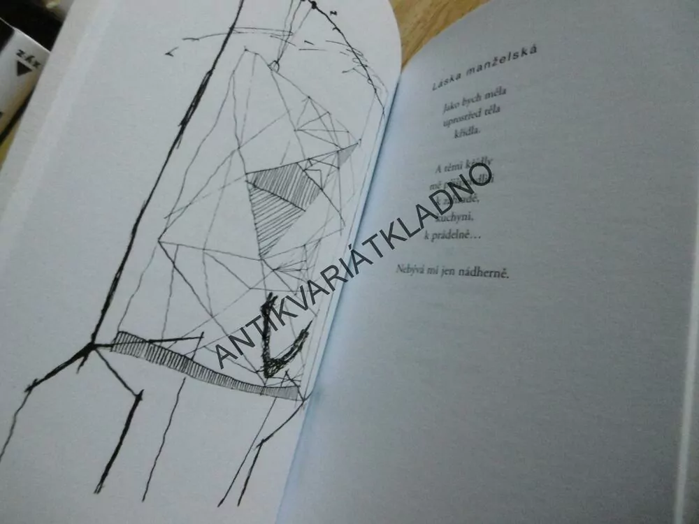 STŘÍPKY BLANKYTU, MAGDALENA POKORNÁ