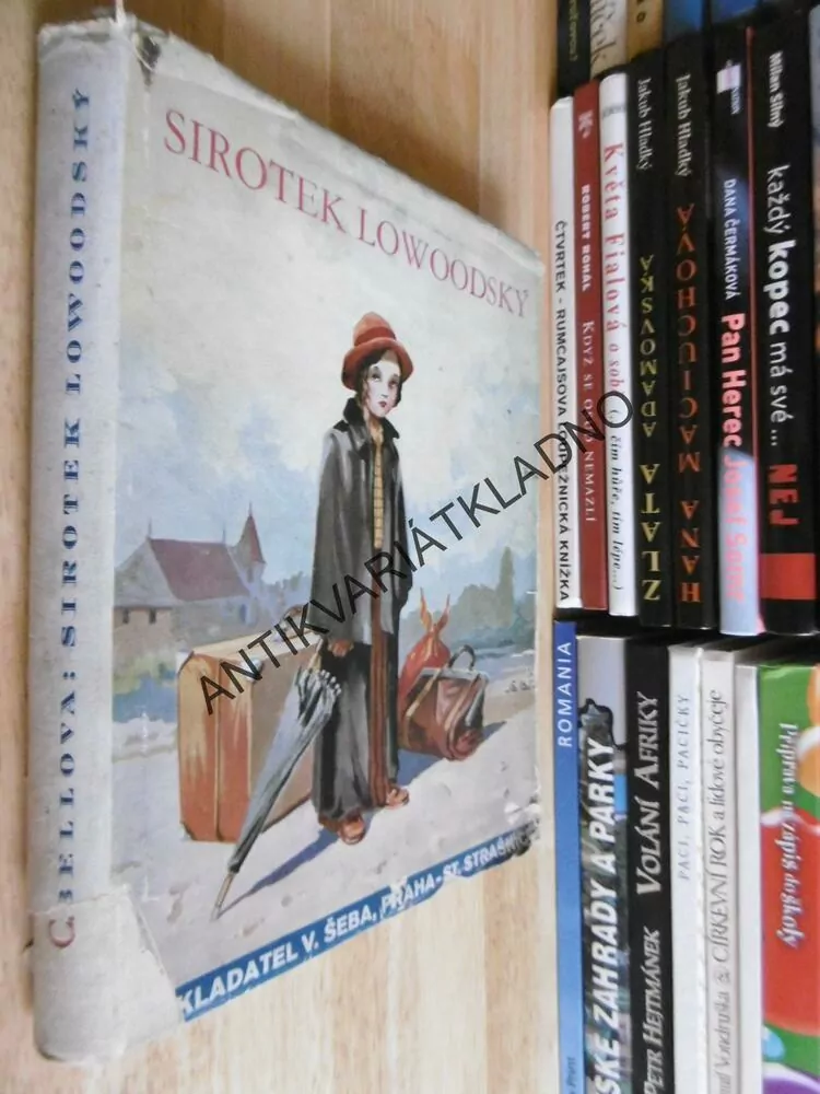 SIROTEK LOWOODSKÝ, SALAČ,CHARLOTTA BRONTEOVÁ,