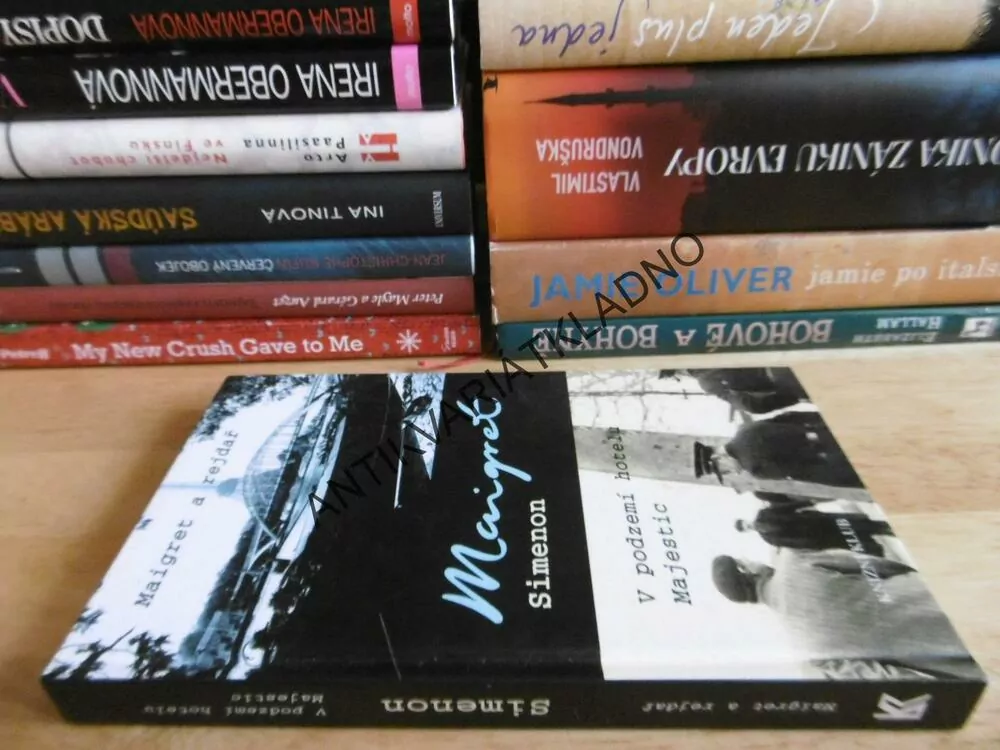 MAIGRET A REJDAŘ, V PODZEMÍ HOTELU MAJESTIC, GEORGES SIMENON, **an