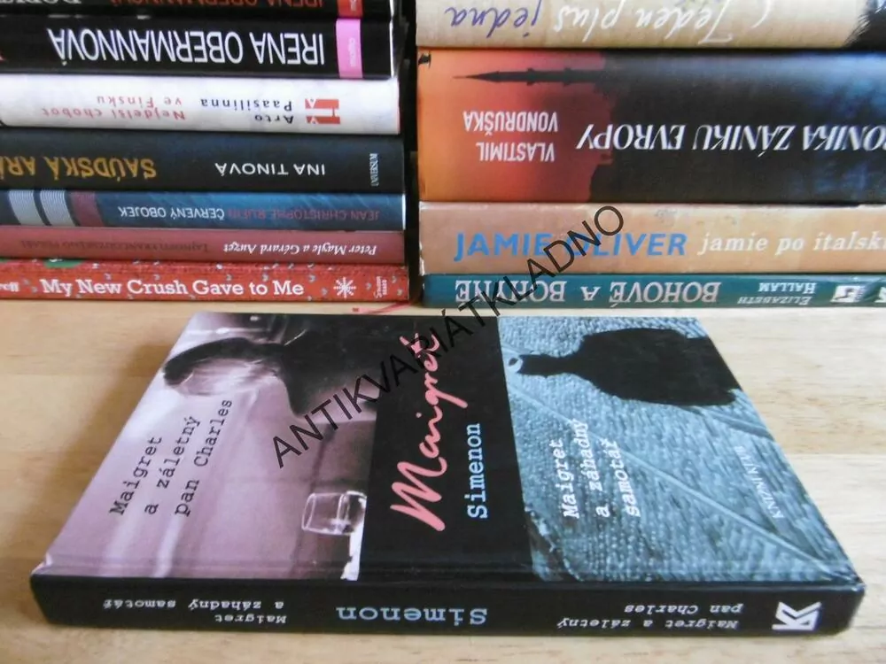 MAIGRET A ZÁLETNÝ PAN CHARLES, MAIGRET A ZÁHADNÝ SAMOTÁŘ, GEORGES SIMENON, **an
