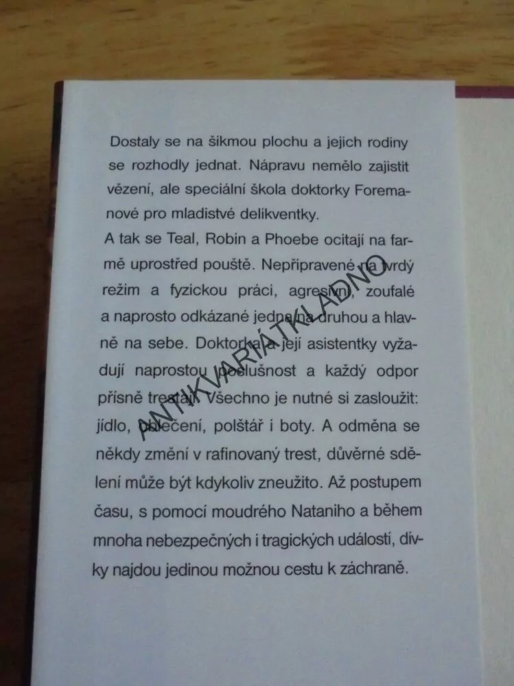 PŮLNOČNÍ LET, V.C. ANDREWS, **an