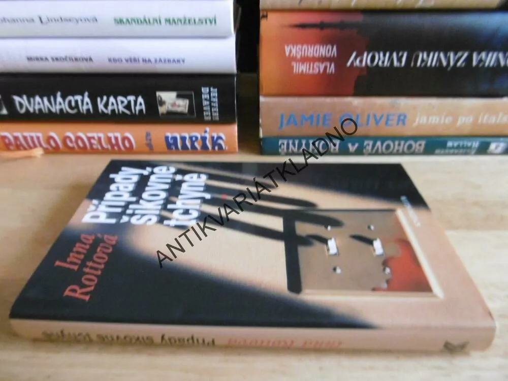 PŘÍPADY ŠIKOVNÉ TCHYNĚ, INNA ROTTOVÁ, **an